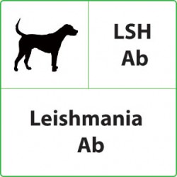 Test veterinari Leishmania per Cani