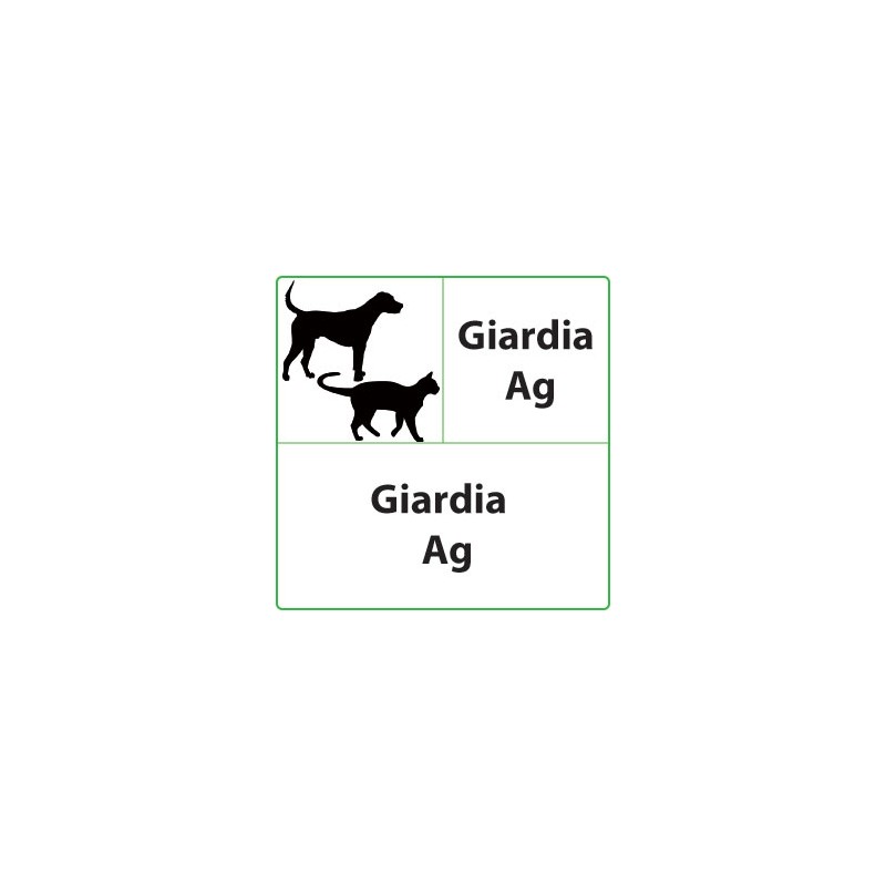Test veterinari Giardia per cani o gatti
