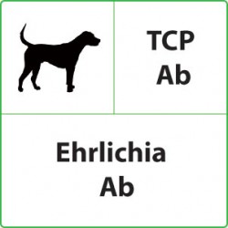 Test veterinari Ehrlichia per Cani