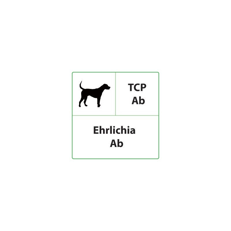 Test veterinari Ehrlichia per Cani