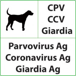 Test veterinari Parvovirus + Coronavirus + Giardia per Cani