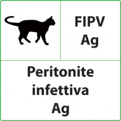 Test veterinari Peritonite infettiva per gatti