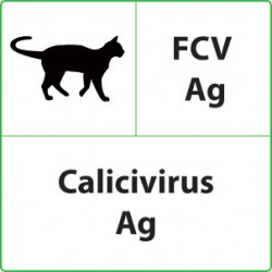 Test FIV + FELV per Gatti
